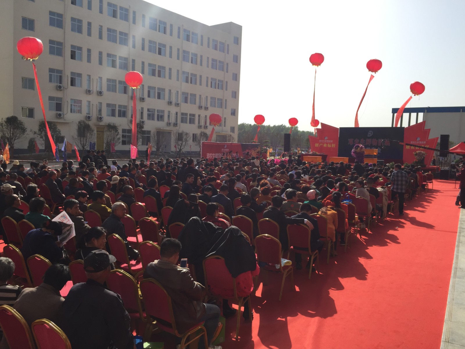 農貿市場地產策劃公司